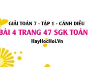 Giải bài 4 trang 47 Toán 7 Tập 1 SGK Cánh Diều